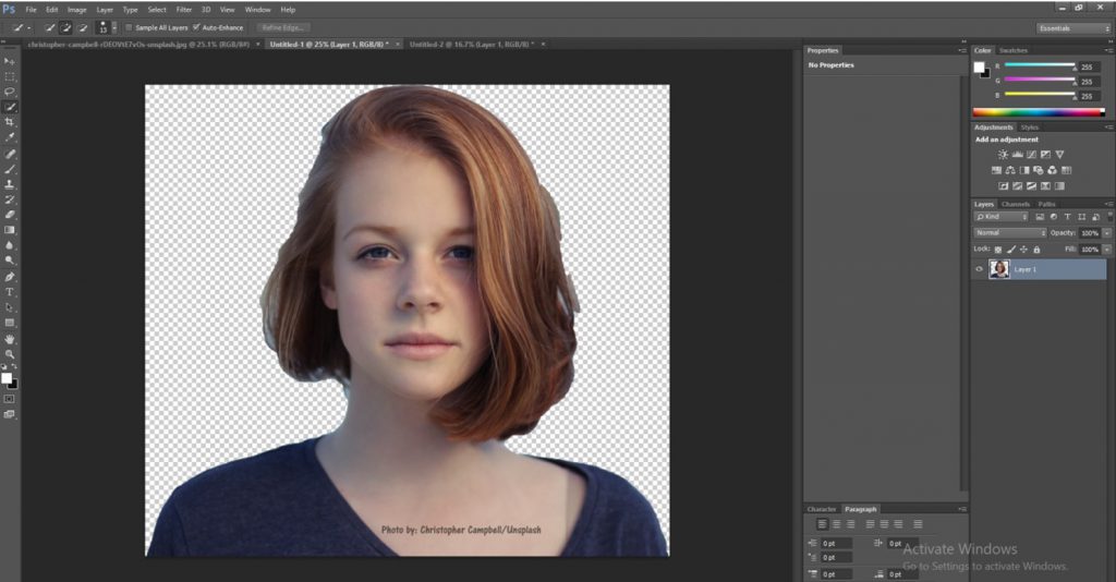 Image 10.1: Selected picture pasted on transparent background in Photoshop